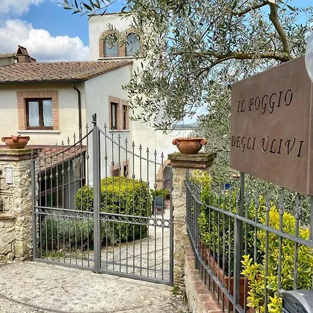 Il Poggio Degli Ulivi *