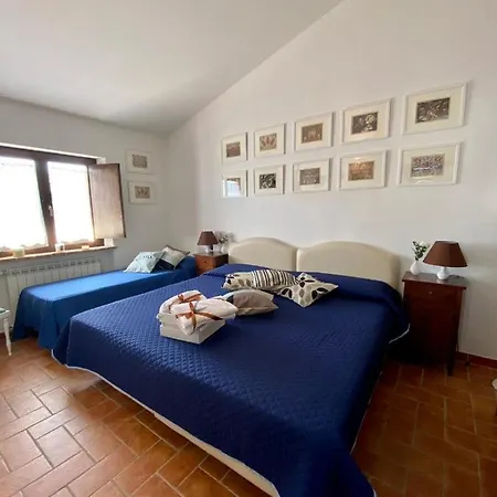 Il Poggio Degli Ulivi *